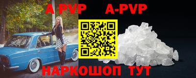 гашик Будённовск