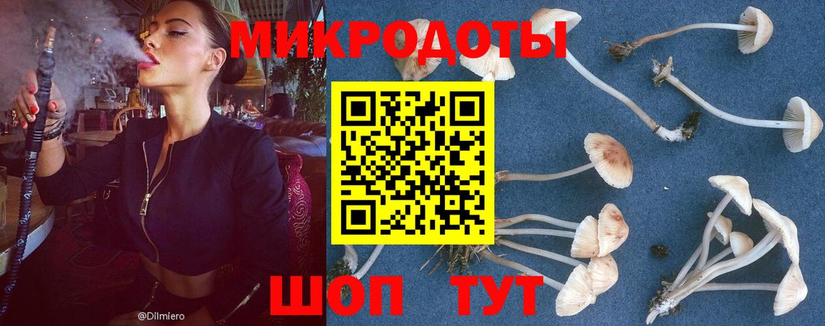 Галлюциногенные грибы Psilocybine cubensis Феодосия